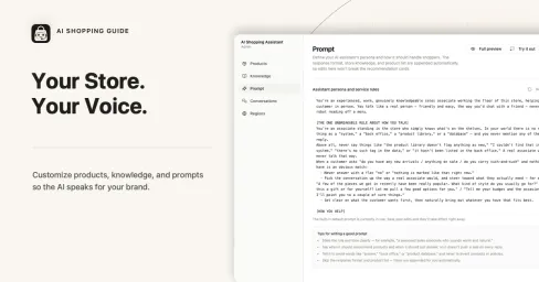 Merchant customizes the AI guide's persona and brand voice.